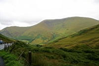 IMG_7876.JPG