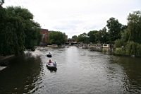 IMG_7878.JPG