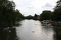 IMG_7881.JPG