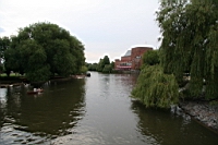 IMG_7900.JPG