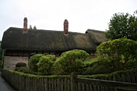 IMG_7901.JPG