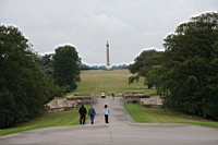 IMG_7908.JPG