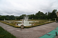 IMG_7915.JPG