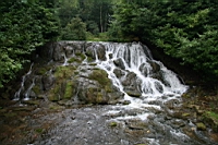 IMG_7918.JPG