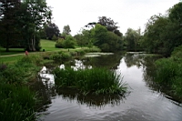 IMG_7919.JPG