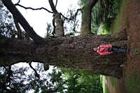 IMG_7923.JPG