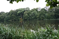 IMG_7925.JPG