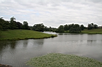 IMG_7939.JPG