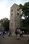 IMG_7957.JPG