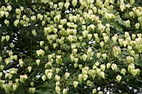 IMG_7964.JPG