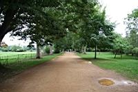IMG_7968.JPG