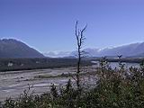 124-2451_IMG.JPG