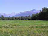 124-2452_IMG.JPG