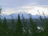 124-2469_IMG.jpg