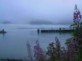125-2529_IMG.JPG