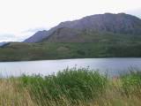 126-2688_IMG.JPG