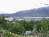 128-2881_IMG.JPG