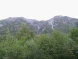 129-2981_IMG.JPG