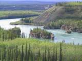 130-3003_IMG.JPG