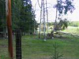 131-3152_IMG.JPG