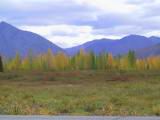 133-3324_IMG.JPG