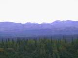 133-3328_IMG.JPG