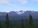 133-3334_IMG.JPG