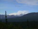 133-3336_IMG.JPG