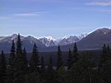 133-3344_IMG.JPG