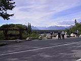 133-3361_IMG.JPG
