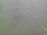 133-3370_IMG.JPG