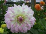 133-3381b_IMG.jpg