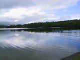 133-3388_IMG.JPG