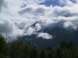 133-3390_IMG.JPG