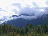 133-3391_IMG.JPG