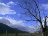 133-3393_IMG.JPG