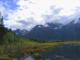 133-3397_IMG.JPG