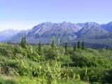 124-2463_IMG.JPG