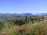 124-2466_IMG.JPG