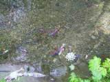 128-2878_IMG.JPG