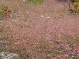 130-3035_IMG.JPG
