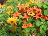 131-3134_IMG.JPG