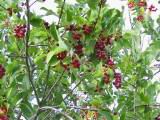 131-3136_IMG.JPG