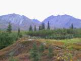 133-3335_IMG.JPG
