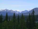133-3337_IMG.JPG
