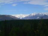 133-3338_IMG.JPG