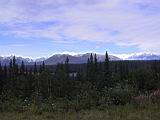 133-3341_IMG.JPG