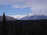133-3342_IMG.JPG