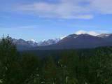 133-3346_IMG.JPG