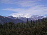 133-3352_IMG.JPG